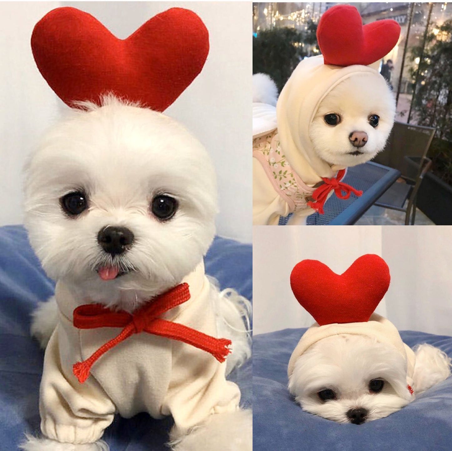 Cute Pet Clothes For Small Dogs and Cats