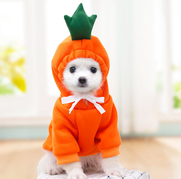 Cute Pet Clothes For Small Dogs and Cats