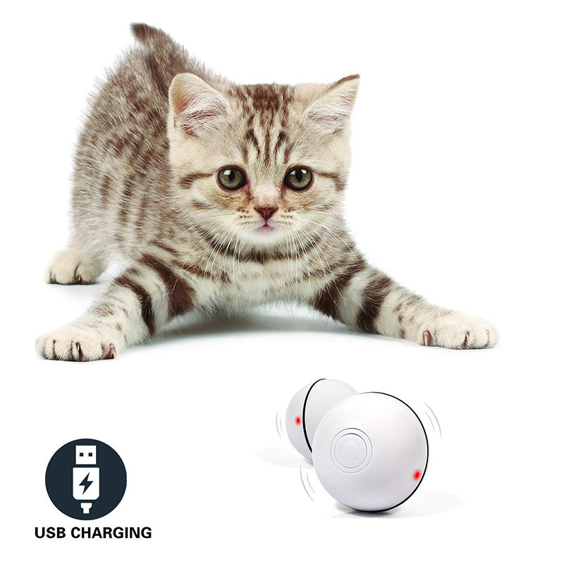 LED Laser Electronic Rolling Toy Ball for Pet