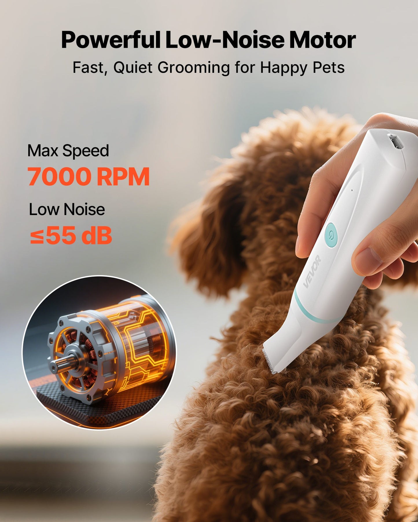 Pet Grooming Kit 4 in 1 Rechargeable Pet Shaver With 6 Combs & 4 Detachable Blades,