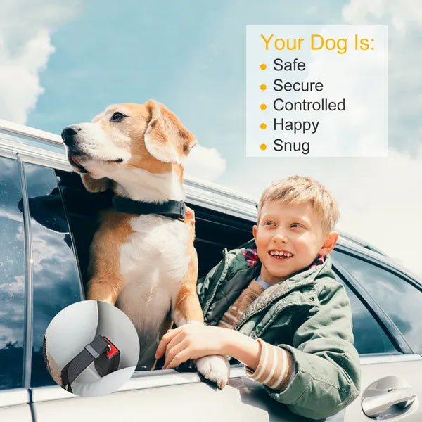 Pet Seat Belt Leash Adjustable Safety Harness for Dog snd Cat 2Pcs