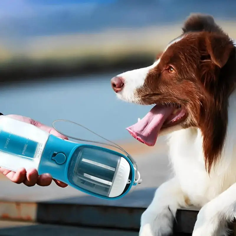 Pet Portable Water Cup Three-in-one for dogs and Cats