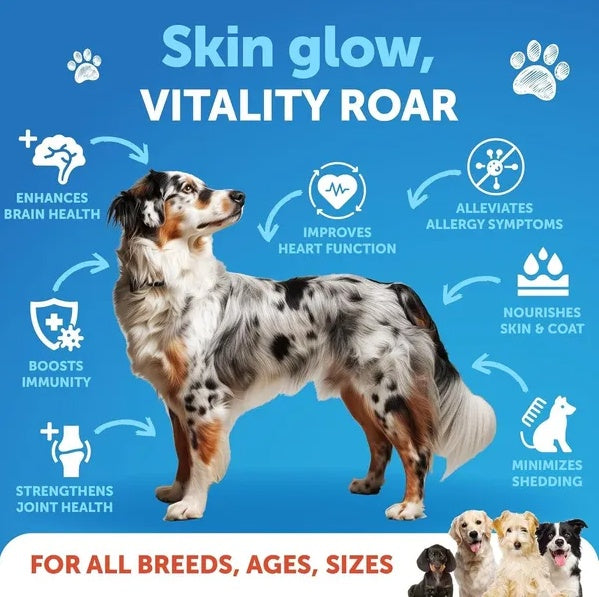 Pure Salmon Oil for Dogs