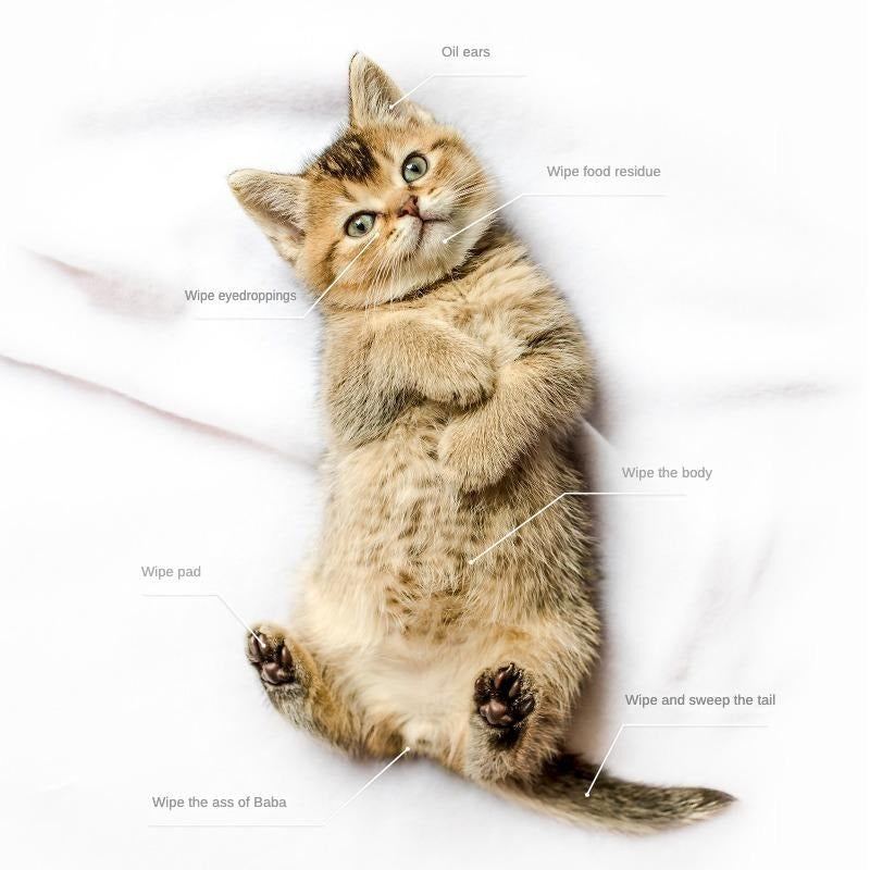PET Cleaning  Deodorizing Bathing Wipes ForDogs And Cats