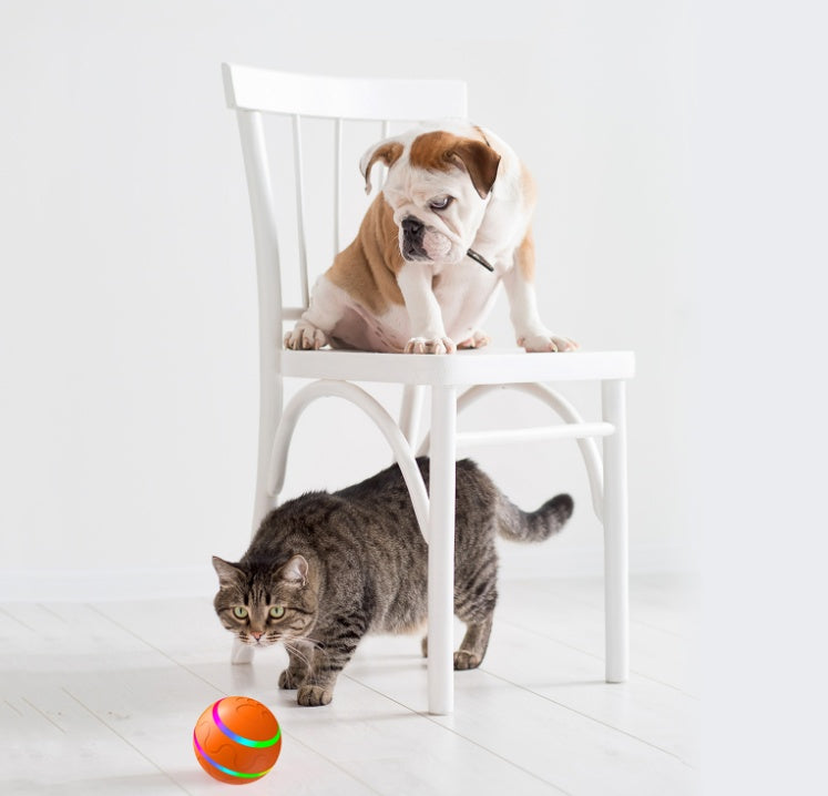 Intelligent Self Rotating Ball for Pet Cat and Dog