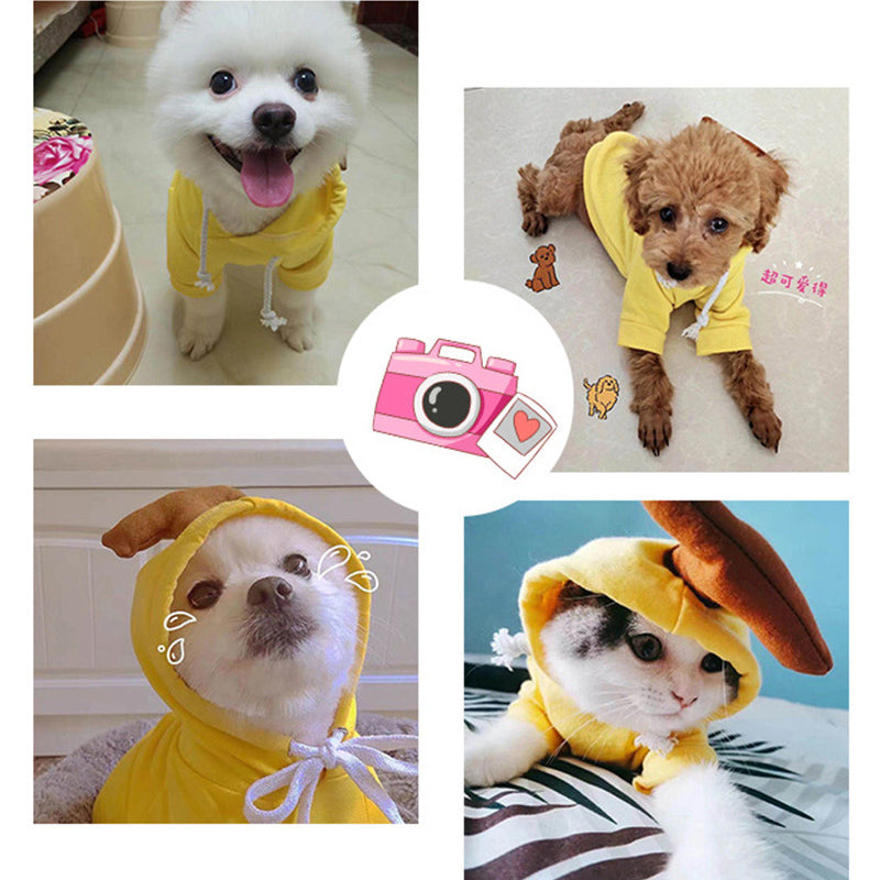 Cute Pet Clothes For Small Dogs and Cats