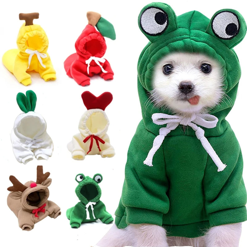 Cute Pet Clothes For Small Dogs and Cats