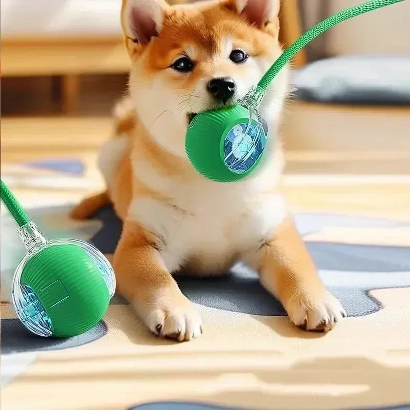 Pet Interactive Automatic Rolling Toy Ball Rechargeable 1-3Pcs