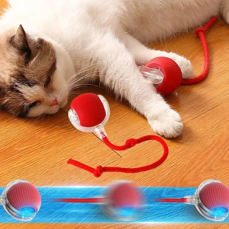 Pet Interactive Automatic Rolling Toy Ball Rechargeable 1-3Pcs