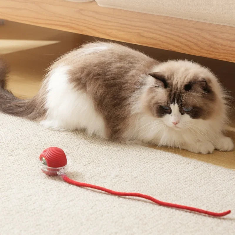 Pet Interactive Automatic Rolling Toy Ball Rechargeable 1-3Pcs