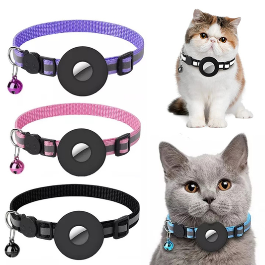 Pet Nylon Collar with buckle